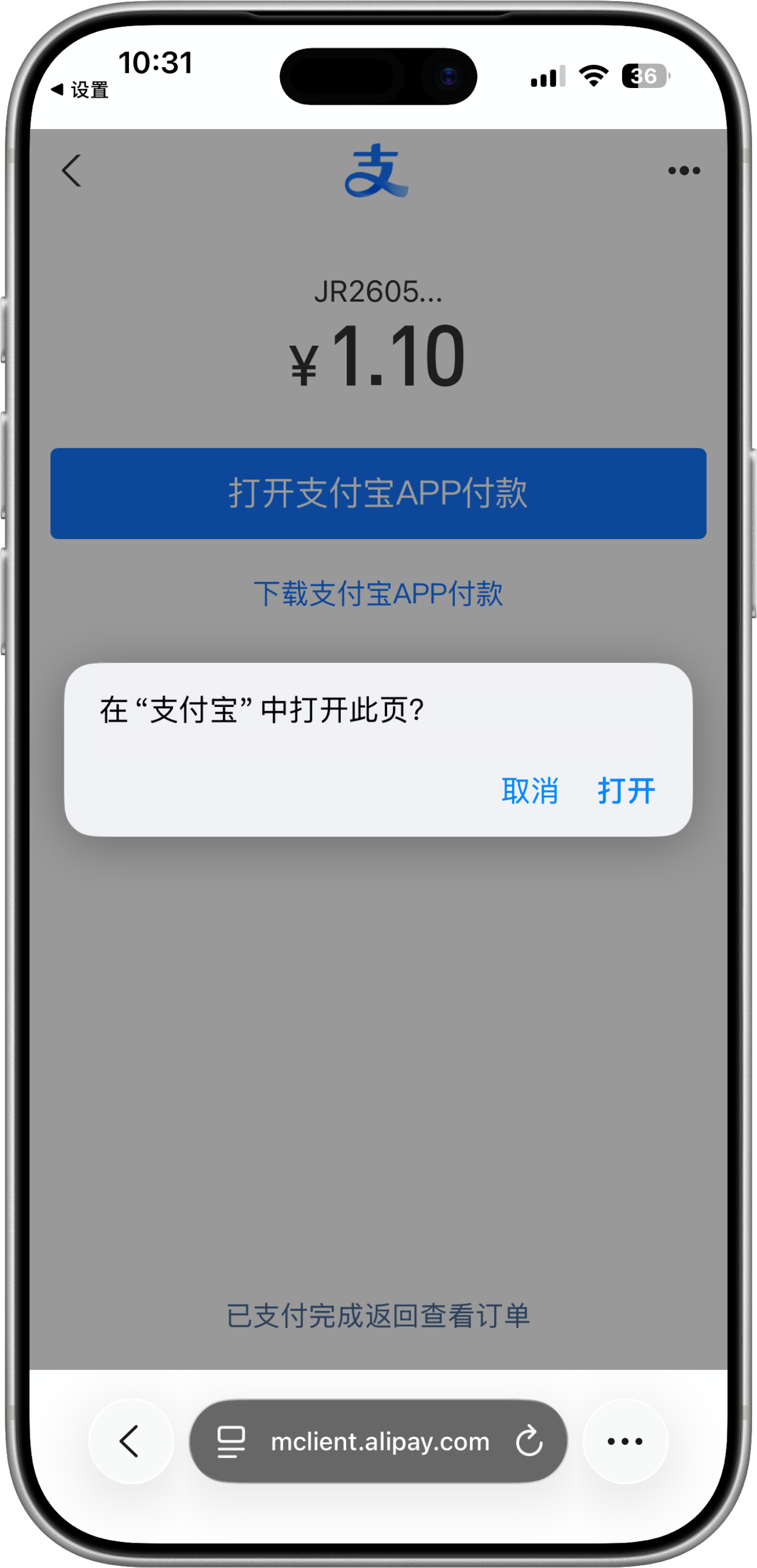 Alipay payment return prompt